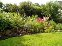 A photo showing a cottage garden planting scheme designed and installed by our fully trained horticulturalists