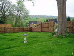 A photo before of a garden in need of design